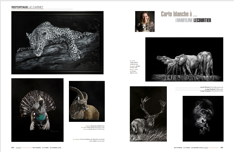 Capture decran 2026 01 02 155008