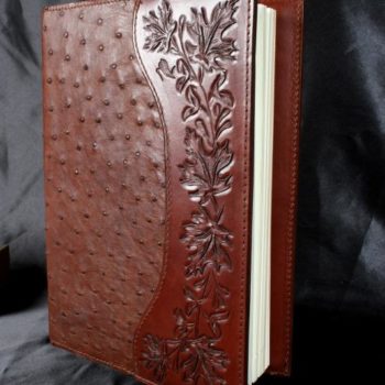 Diary cover