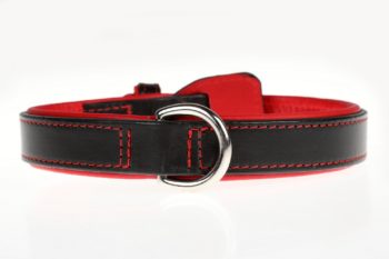 Laisse réglable et collier pour chien – Image 5