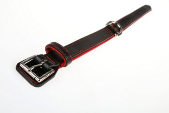 Laisse réglable et collier pour chien – Image 3