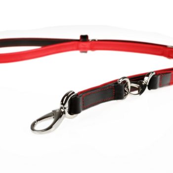 Adjustable leash and dog collar