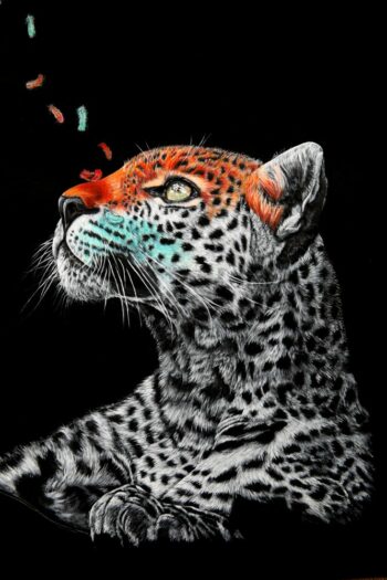 Fusion "chapitre 2" – Image 2