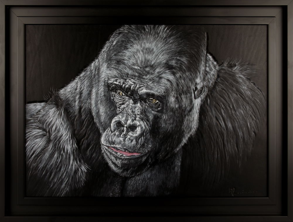 Read more about the article Gorilla