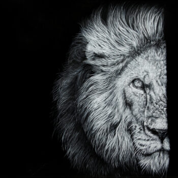 Empreinte sauvage « Lion »