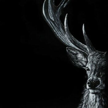 Le cerf à demi révélé