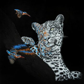 Collection fusion « Passage »