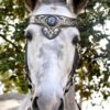 Bridon en cuir, leather bridlesd