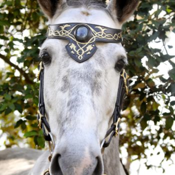 Fairy leather bridle