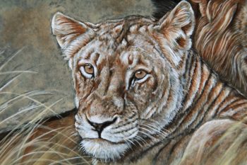 Tableau couple de lions – Image 2