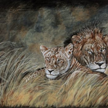 Tableau couple de lions