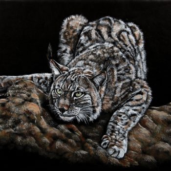 Bobcat painting