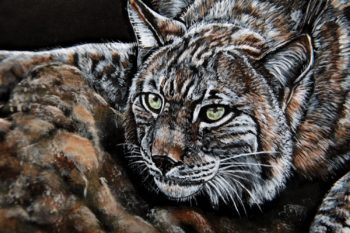 Tableau représentant un lynx. Méthode Carvinguir