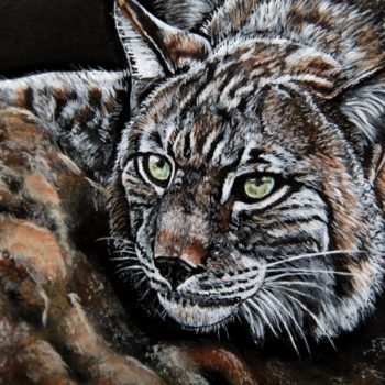 Bobcat painting