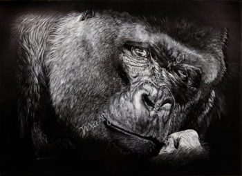 Tableau gorille, gorilla painting