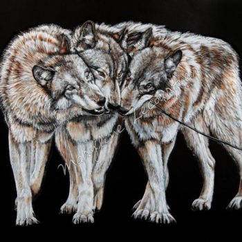 Wolves playing painting