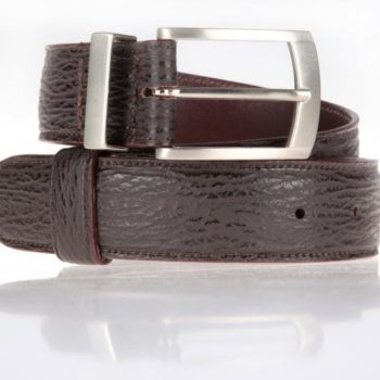 Shark leather belt